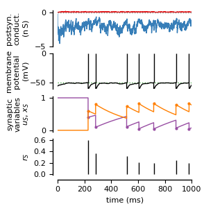 ../_images/frompapers.Stimberg_et_al_2018.example_1_COBA.2.png