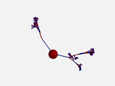 ../_images/morphology_random_section_compartment_3.png