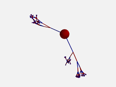 ../_images/morphology_random_section_3.png