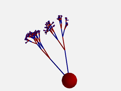 ../_images/morphology_random_section_1.png