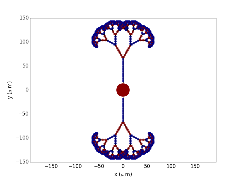 ../_images/morphology_deterministic_coords.png