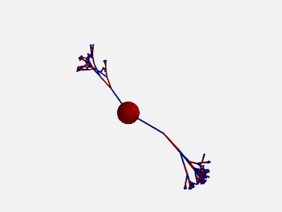 ../_images/morphology_random_section_2.png