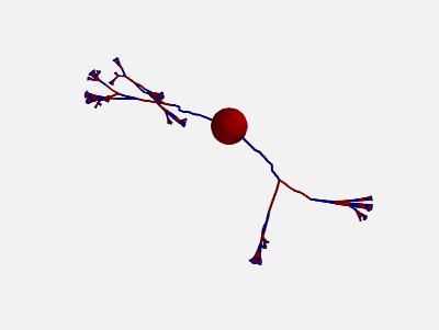 ../_images/morphology_random_section_compartment_1.png