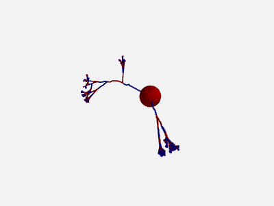 ../_images/morphology_random_section_compartment_2.png
